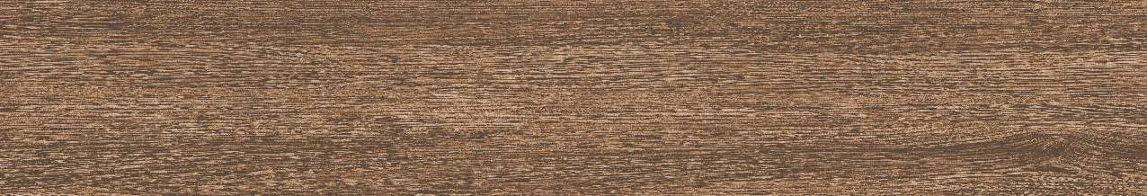CA9-GK15904