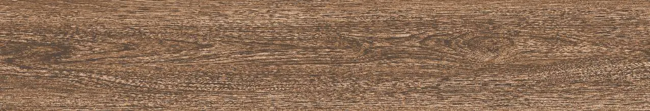 CA9-GK15904
