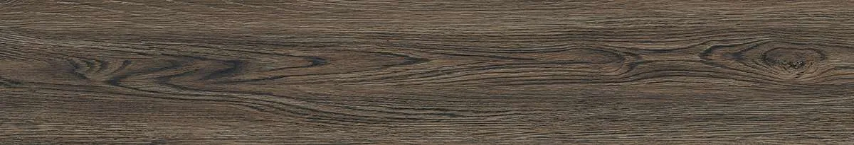 CA9-GK15905