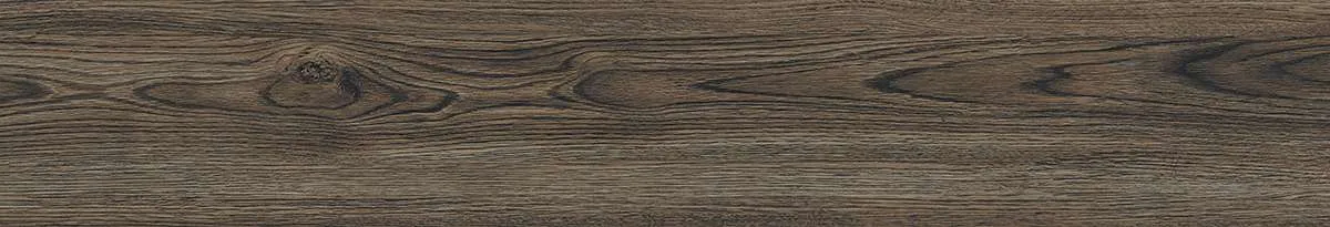 CA9-GK15905