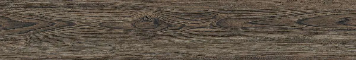 CA9-GK15905