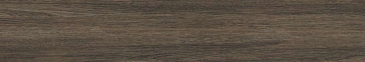 CA9-GK15905