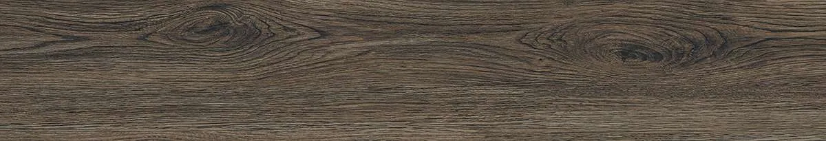 CA9-GK15905