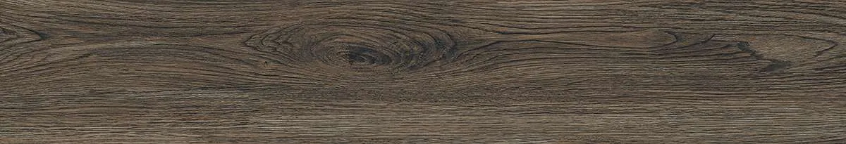 CA9-GK15905