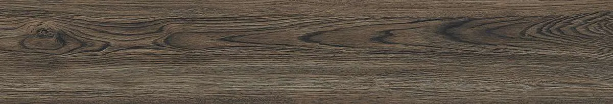CA9-GK15905