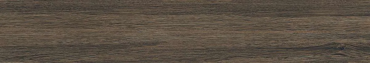 CA9-GK15905