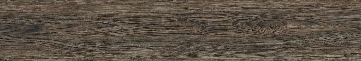 CA9-GK15905