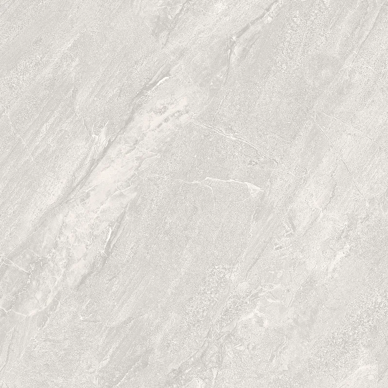 FL8 GM8801