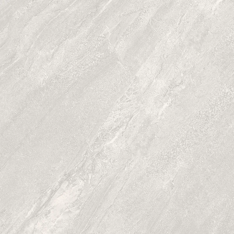 FL8 GM8801