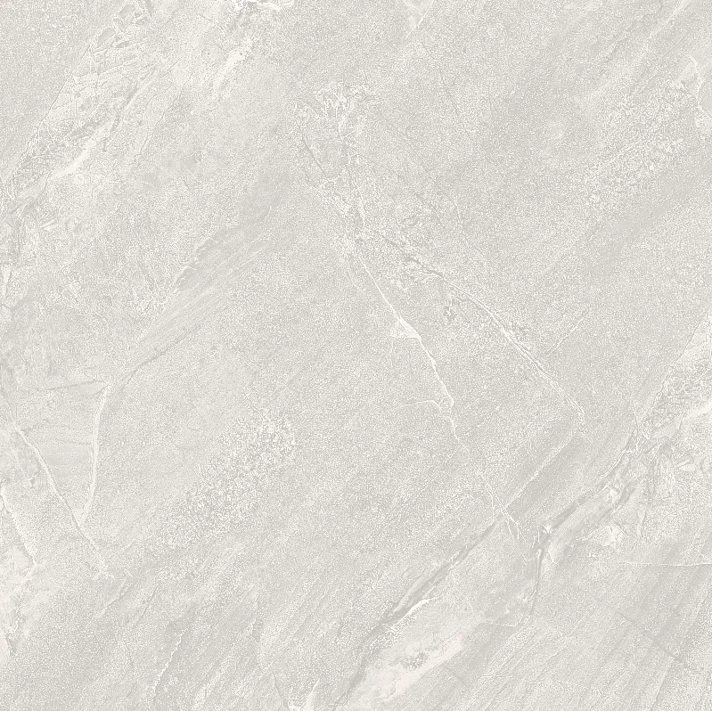 FL8 GM8801