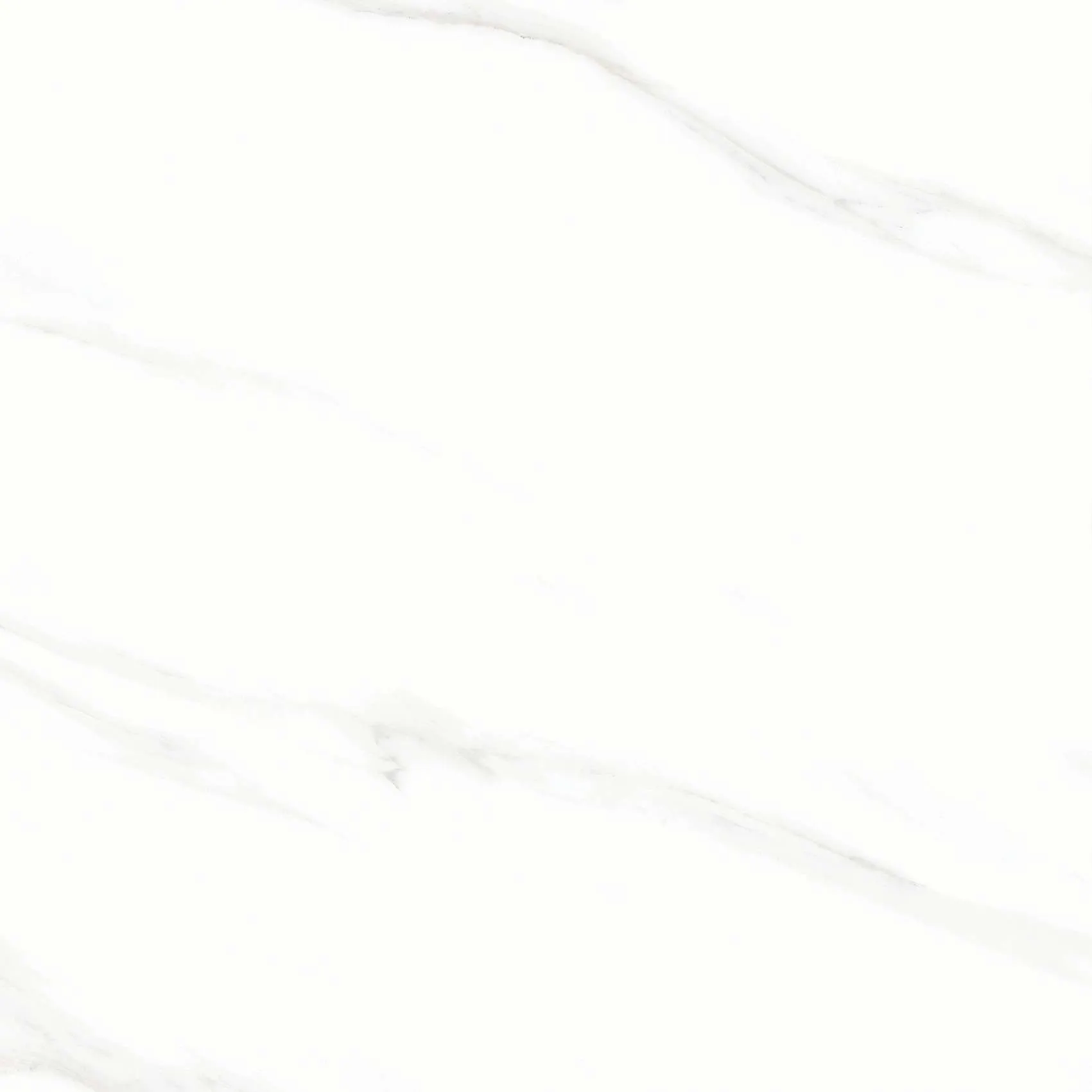 FL3 GP6601/ FL3 GP8801
