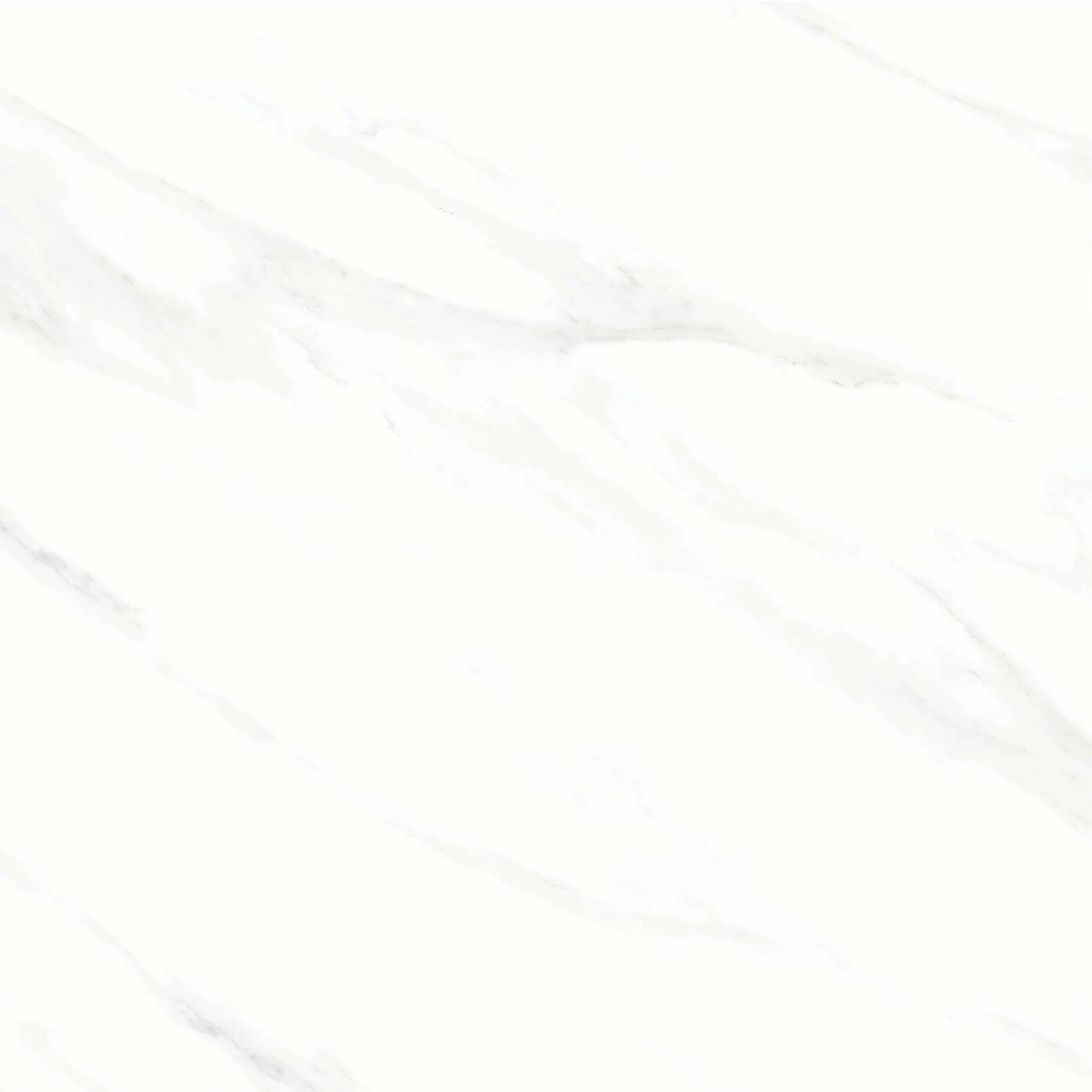 FL3 GP6601/ FL3 GP8801