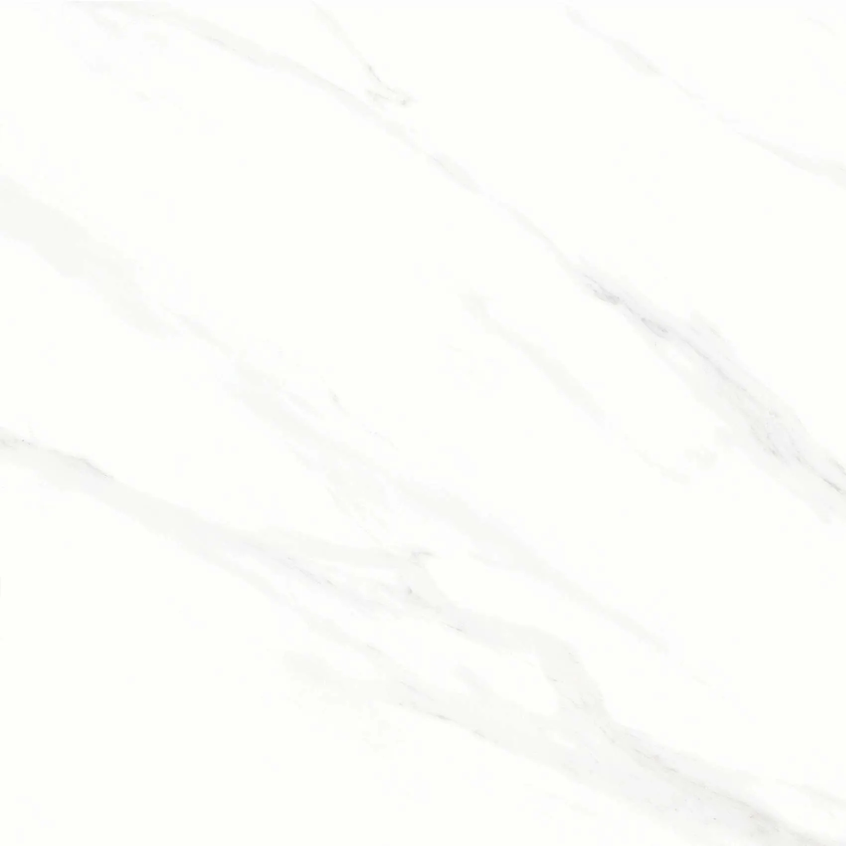 FL3 GP6601/ FL3 GP8801
