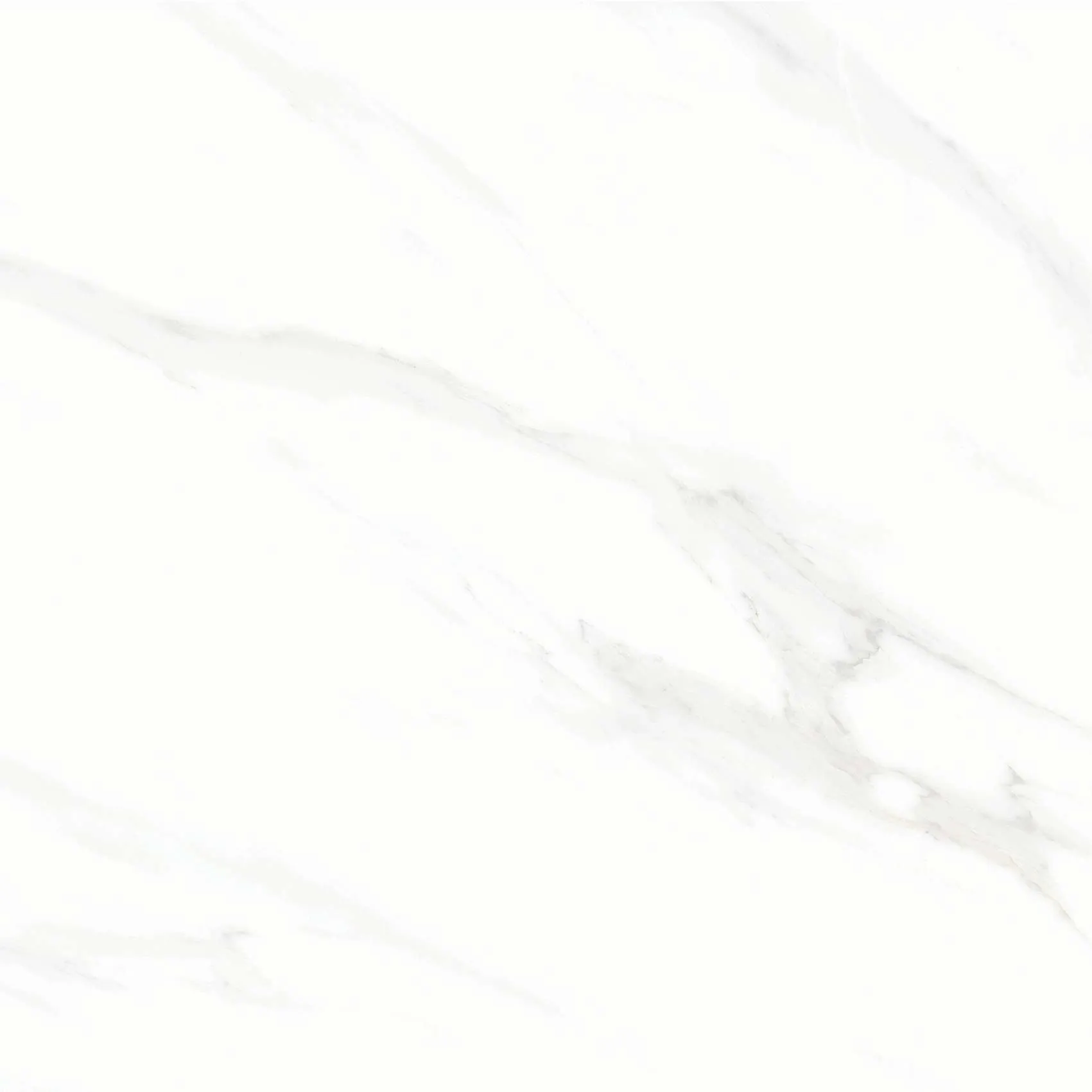 FL3 GP6601/ FL3 GP8801