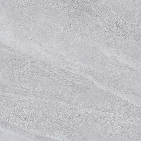 NY10 GM6602