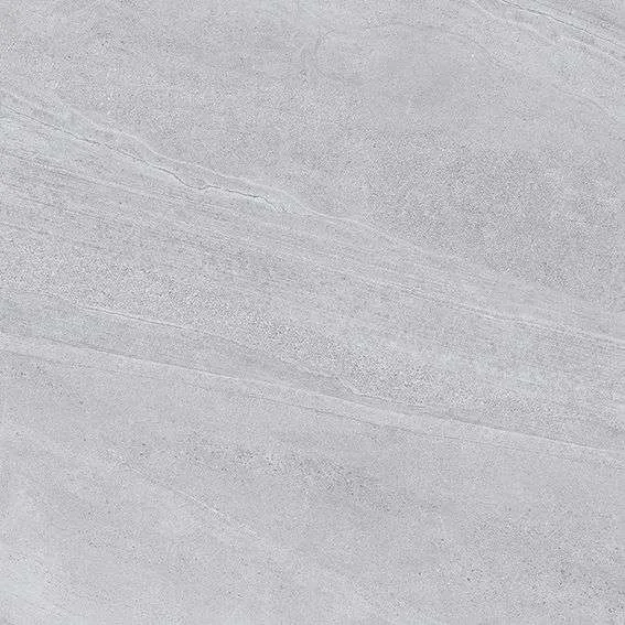 NY10 GM6602