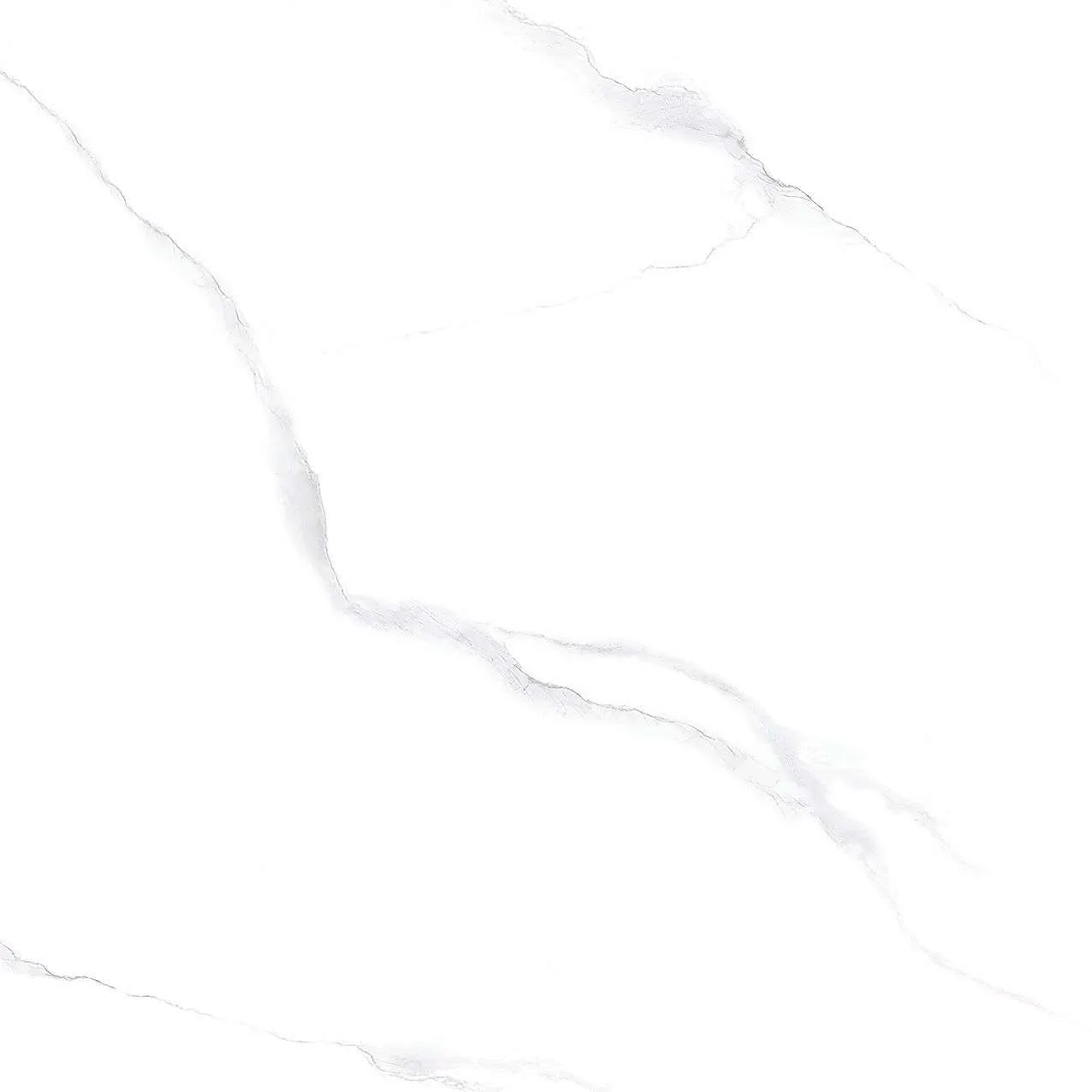 NY14 GP6601 / NY14 GP8801