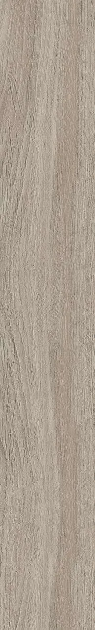 NY18 GC15903