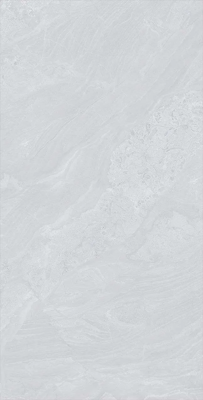 NY19 GP61201
