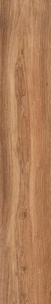 NY GK15901