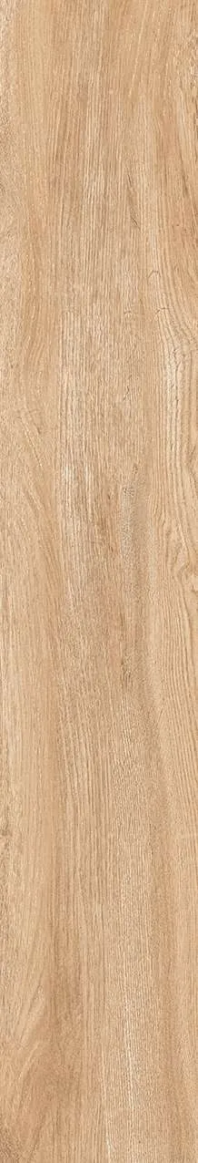 NY GK15902