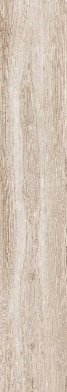 NY GK15904