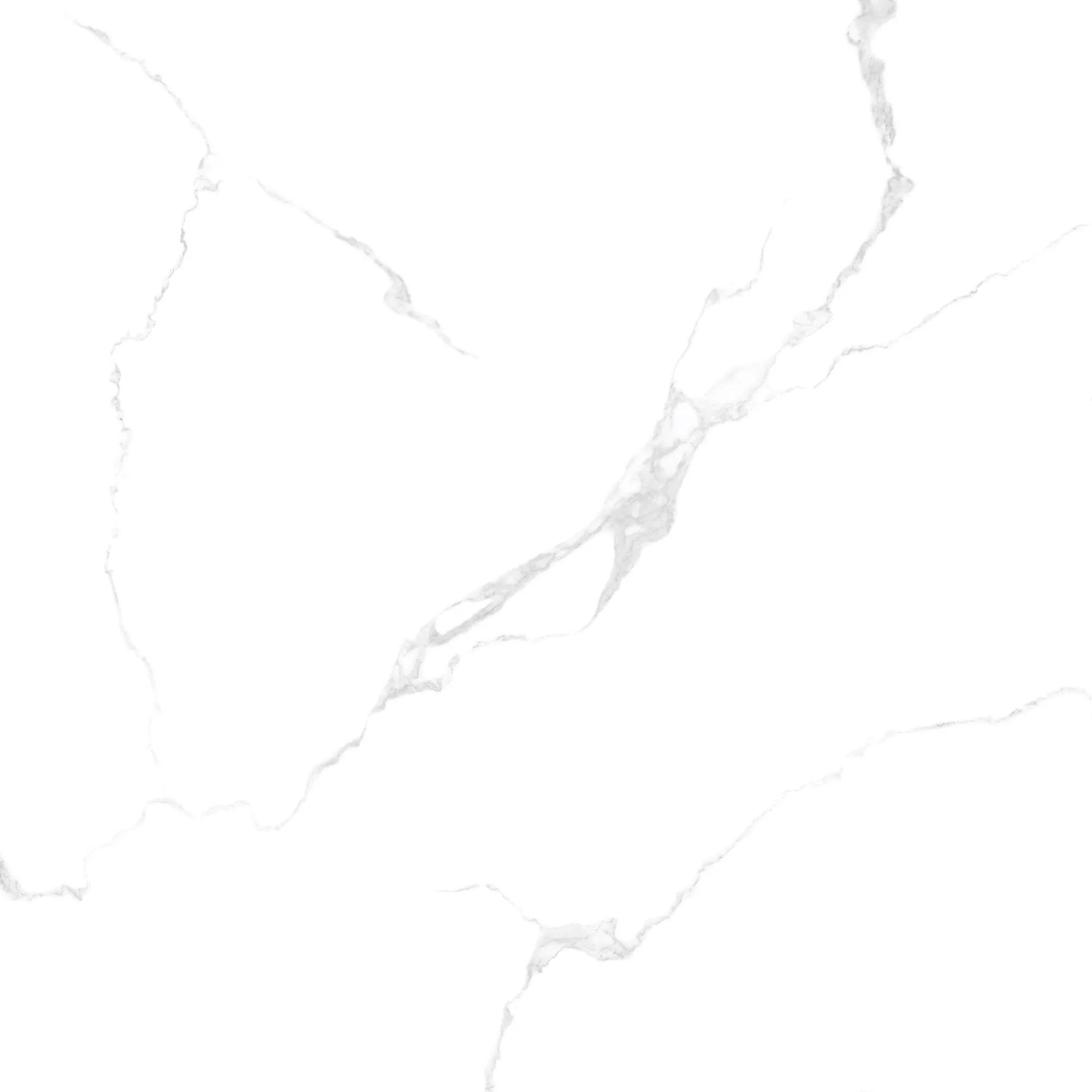 NY51-9GP101001