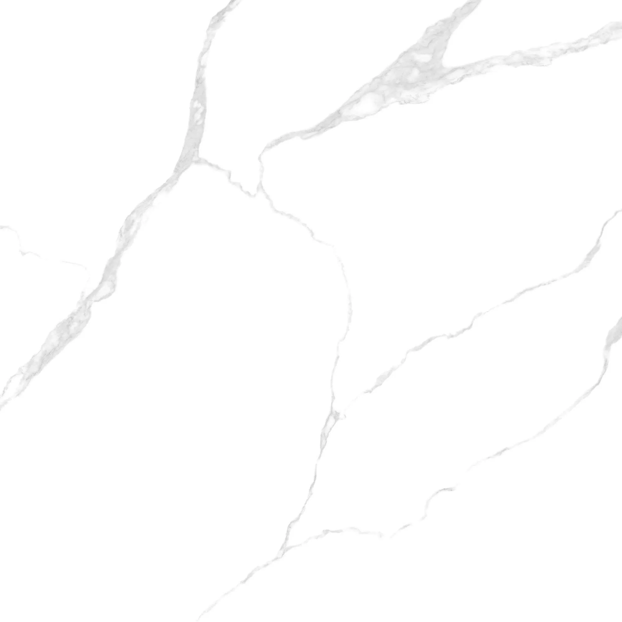 NY51-9GP101001