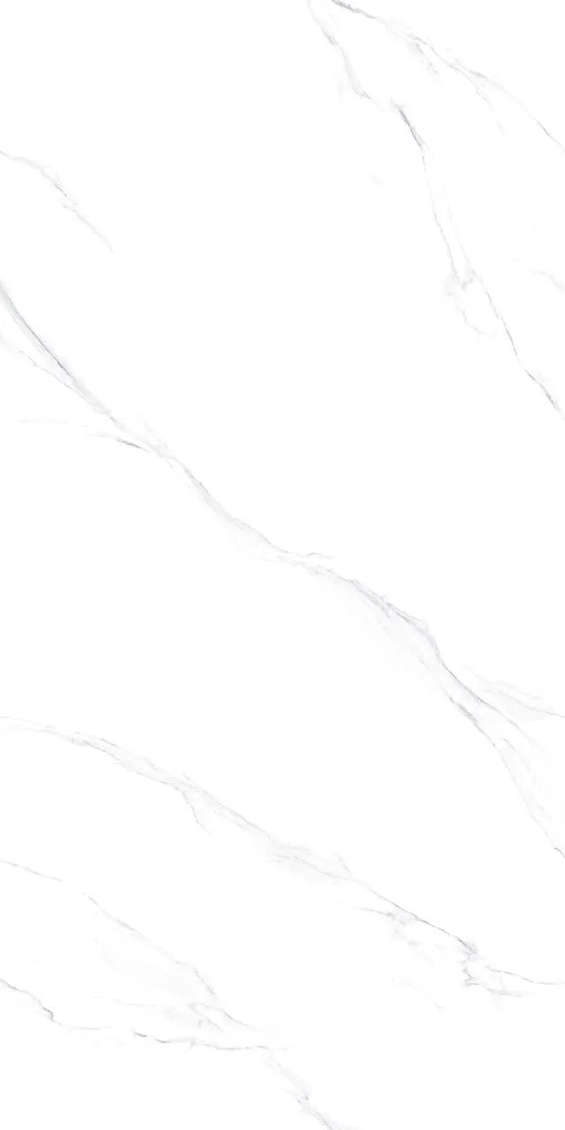 V1-P81601