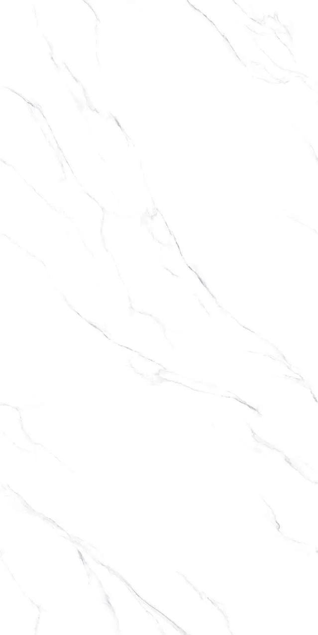 V1-P81601