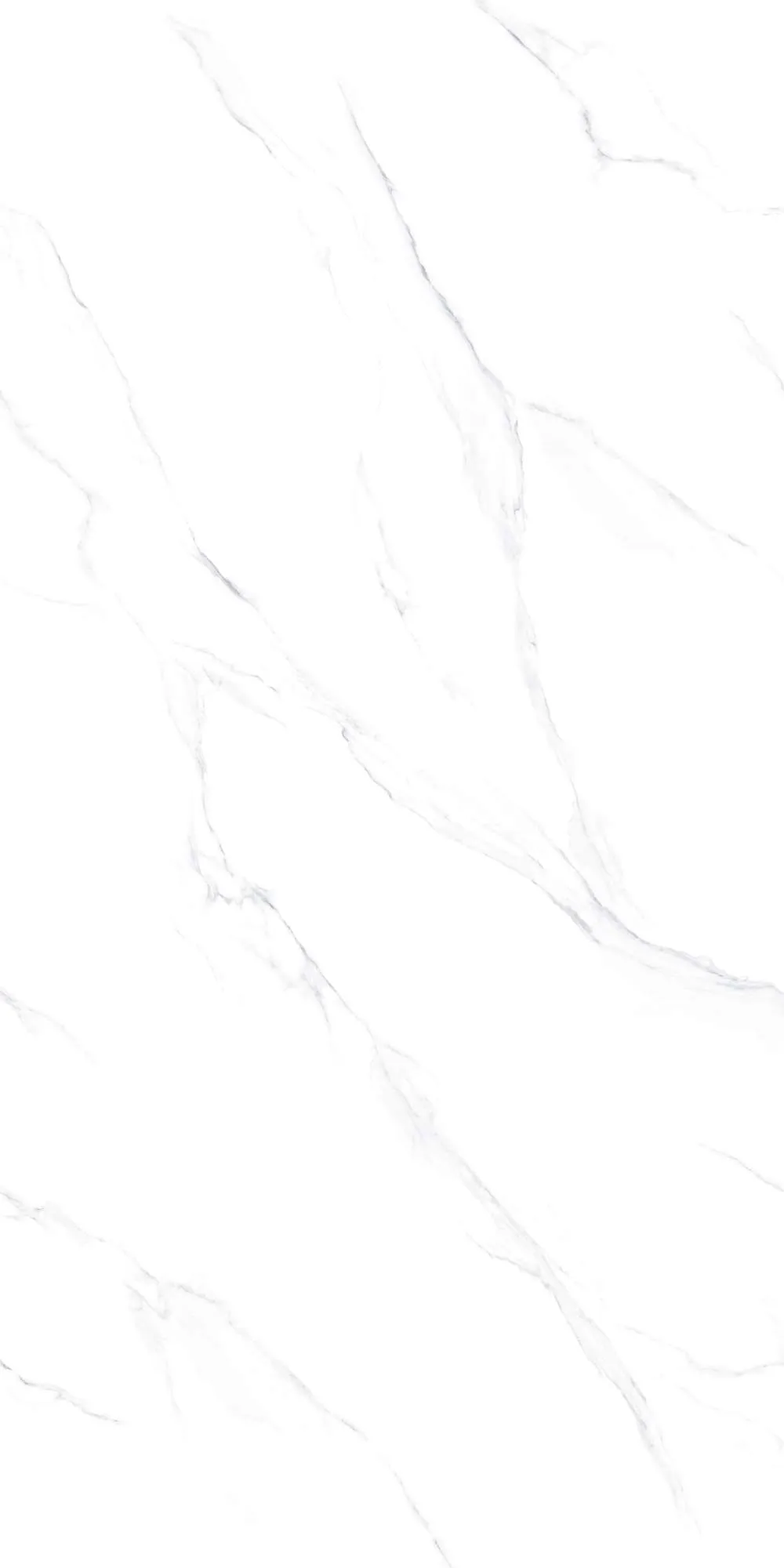 V1-P81601