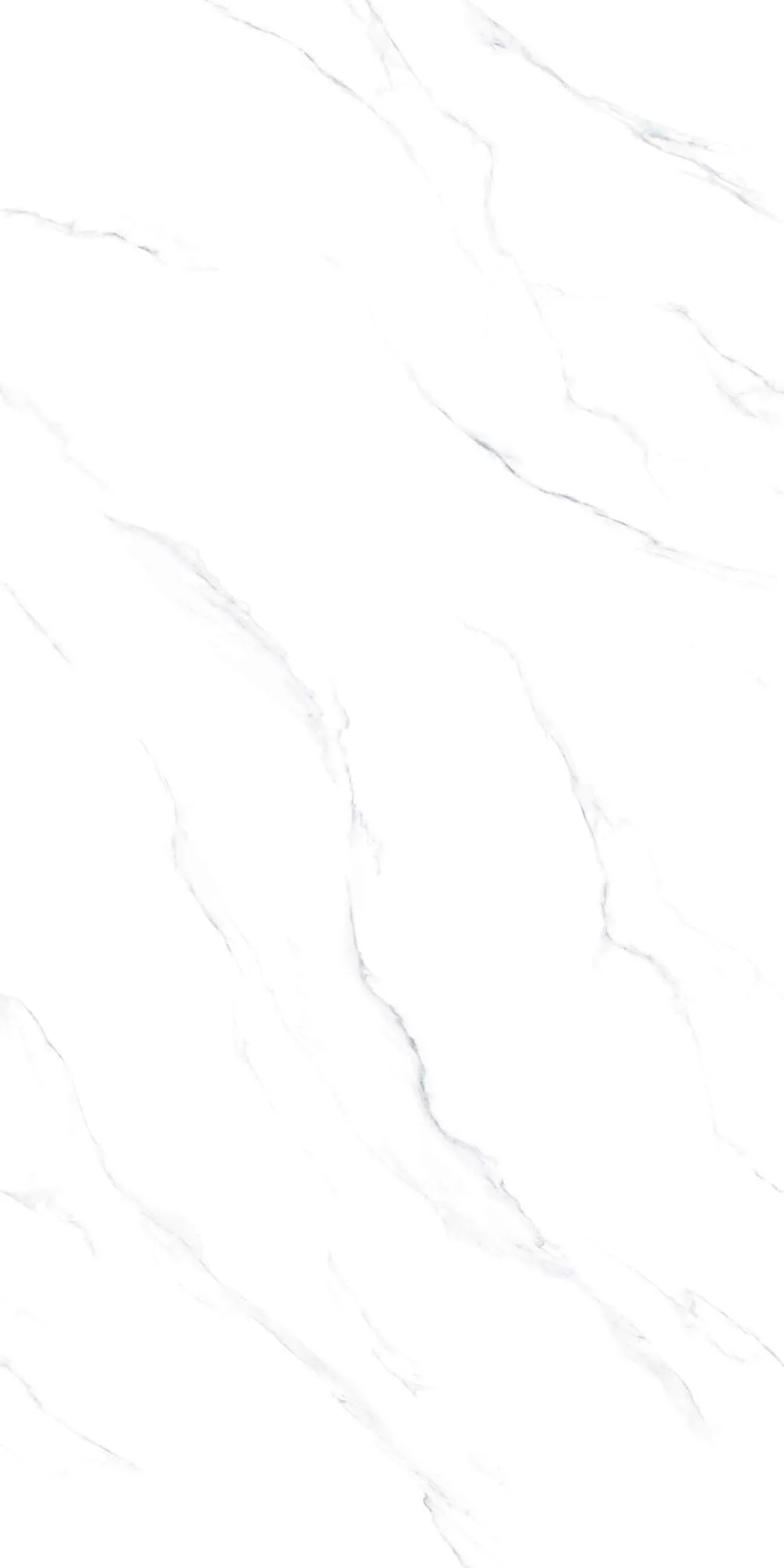 V1-P81601