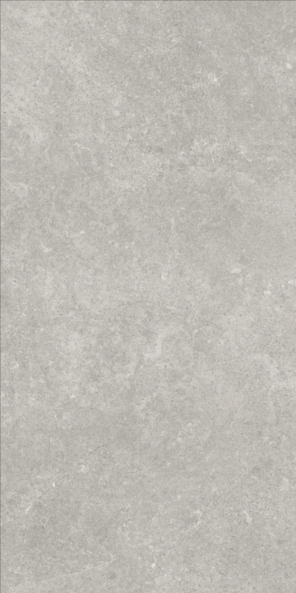 VI1-GM81602