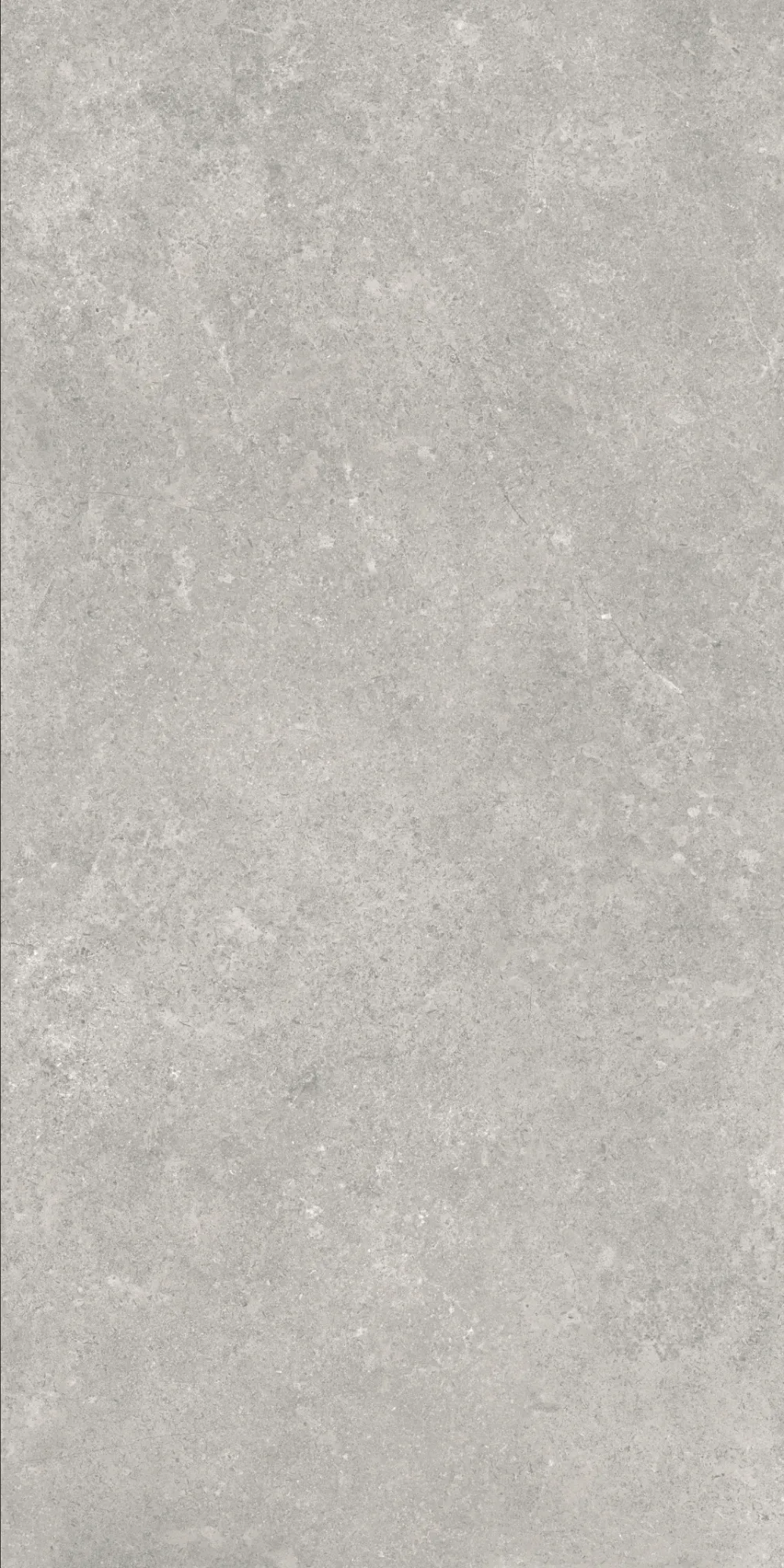 VI1-GM81602