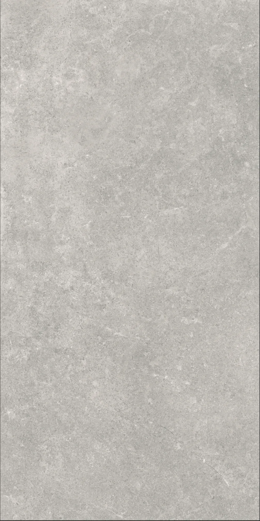 VI1-GM81602