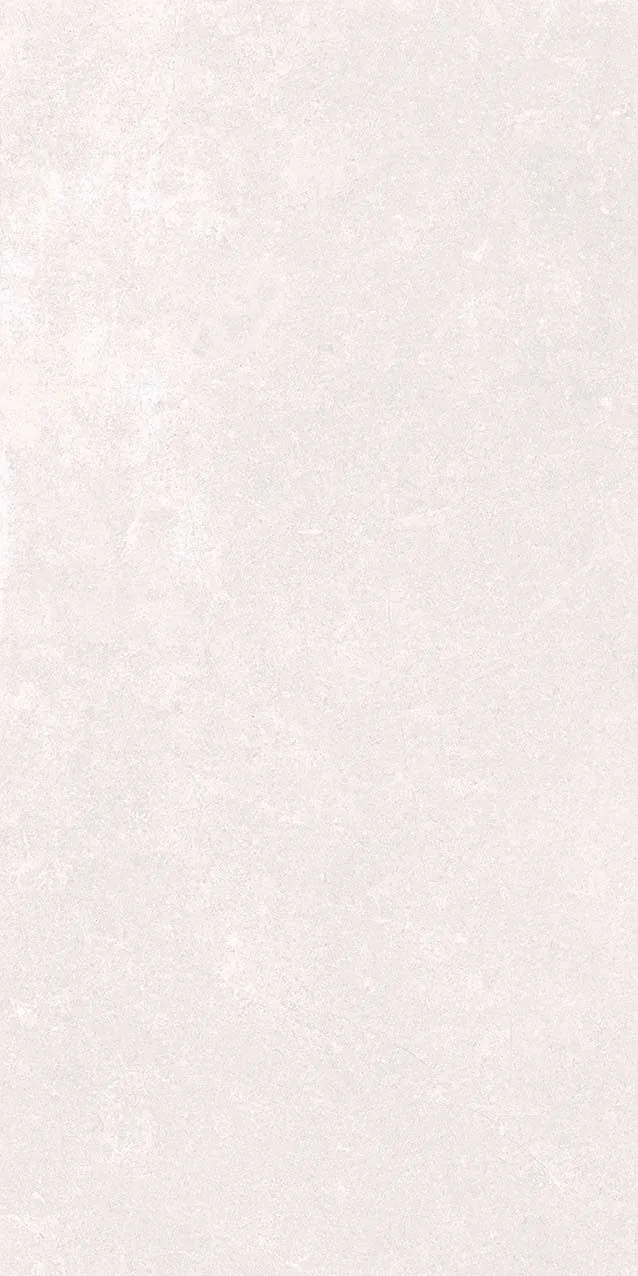 VI1-GM81601