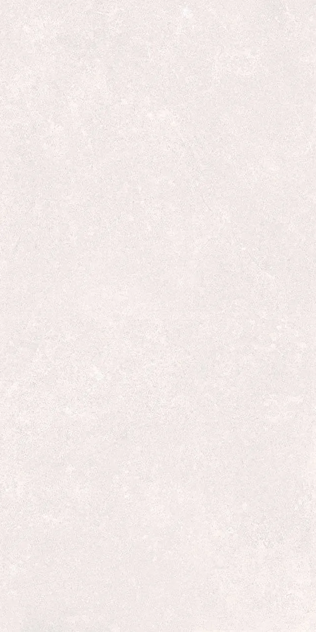 VI1-GM81601