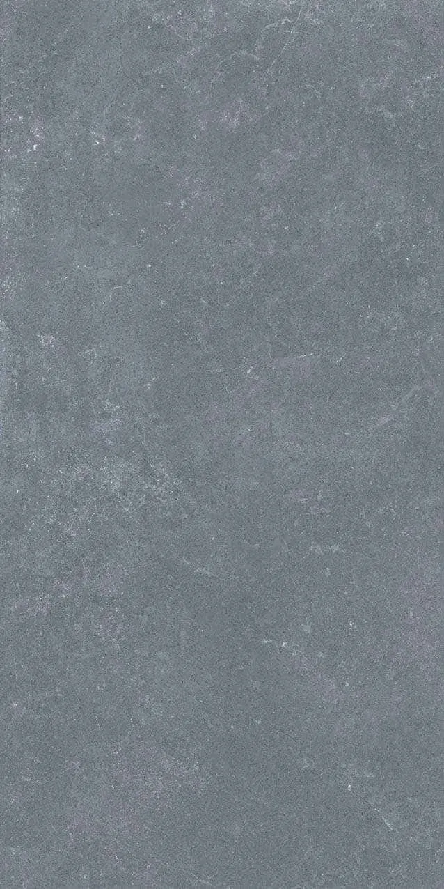 VI1-GM81603