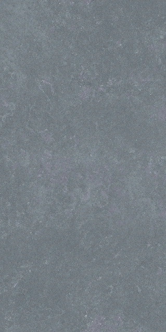 VI1-GM81603