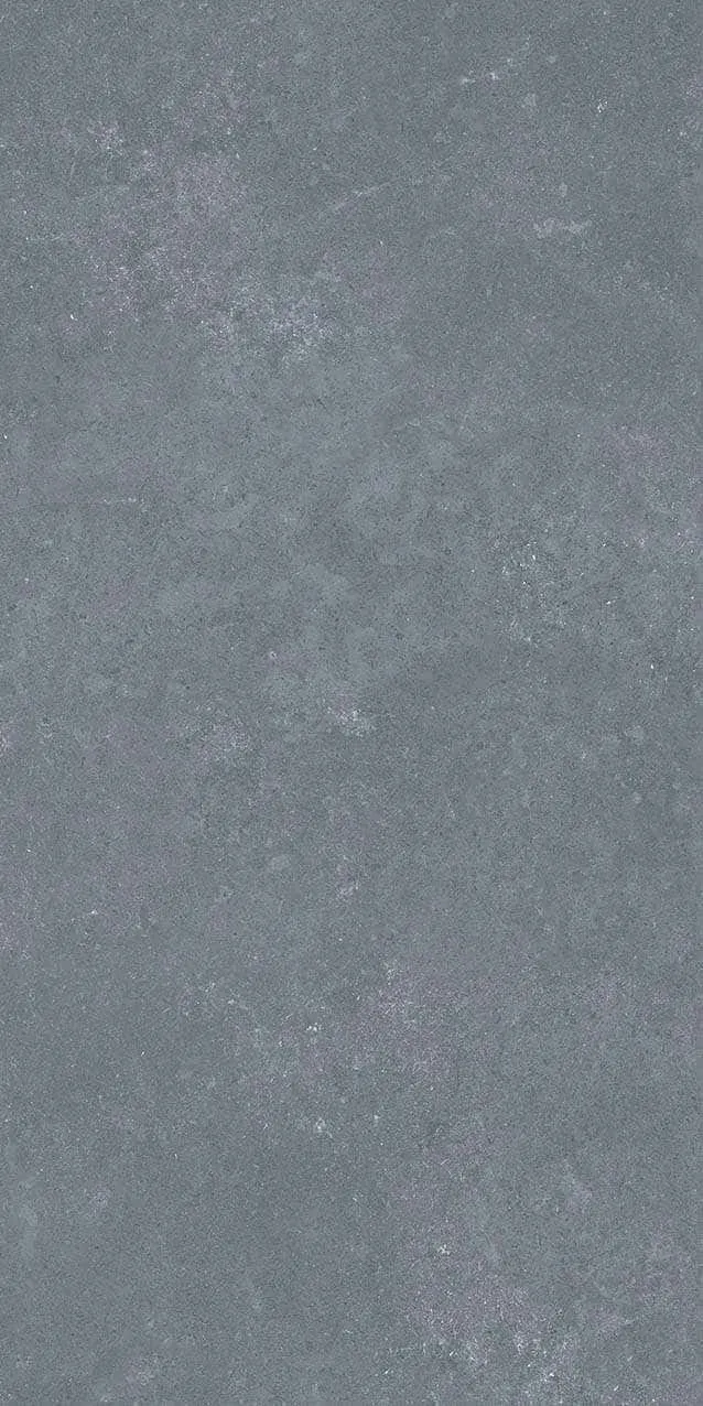 VI1-GM81603