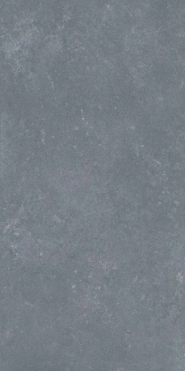 VI1-GM81603