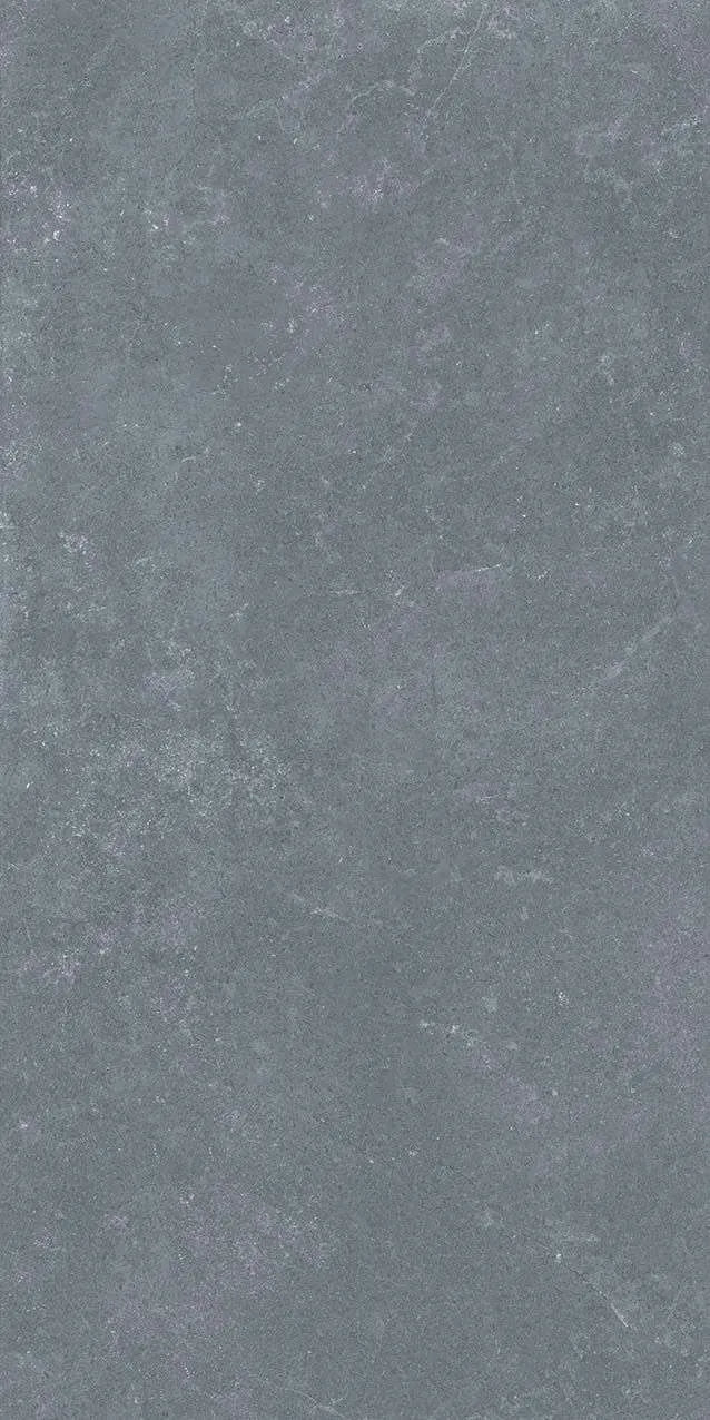 VI1-GM81603