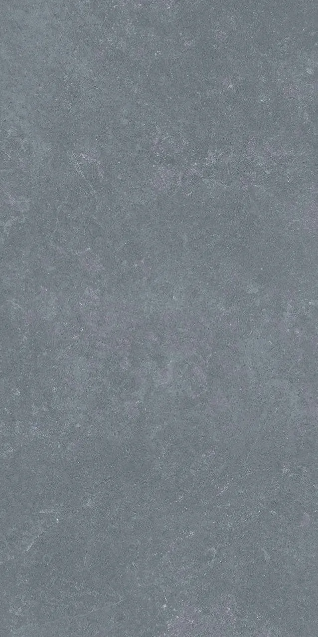 VI1-GM81603