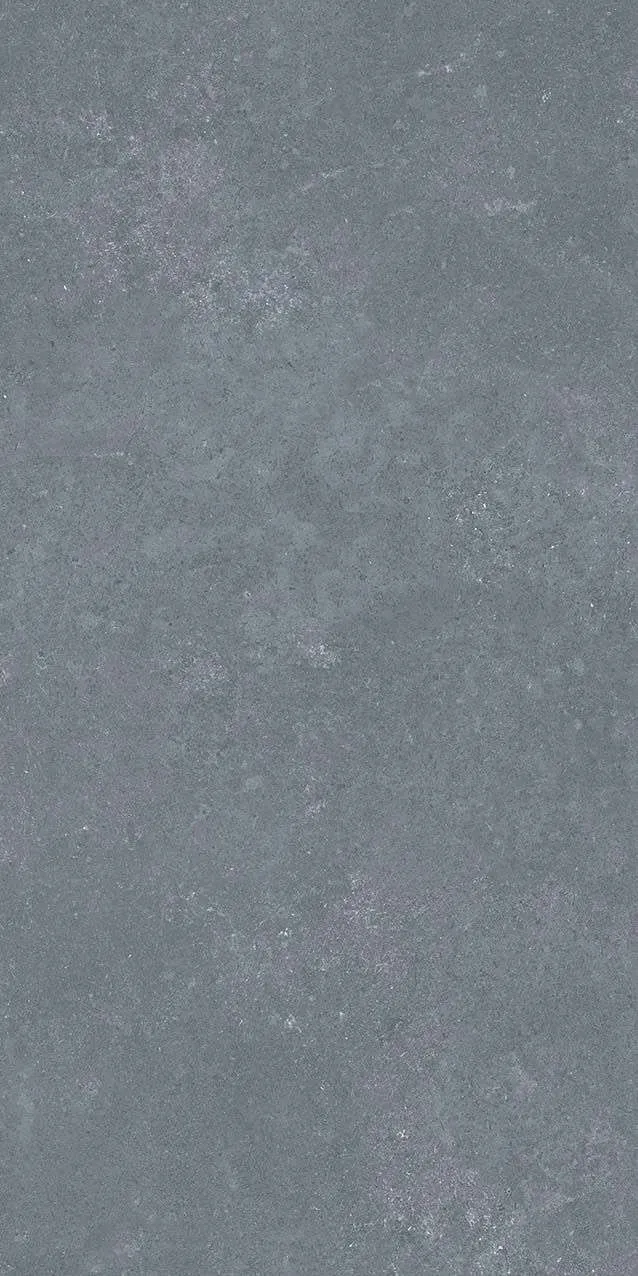 VI1-GM81603