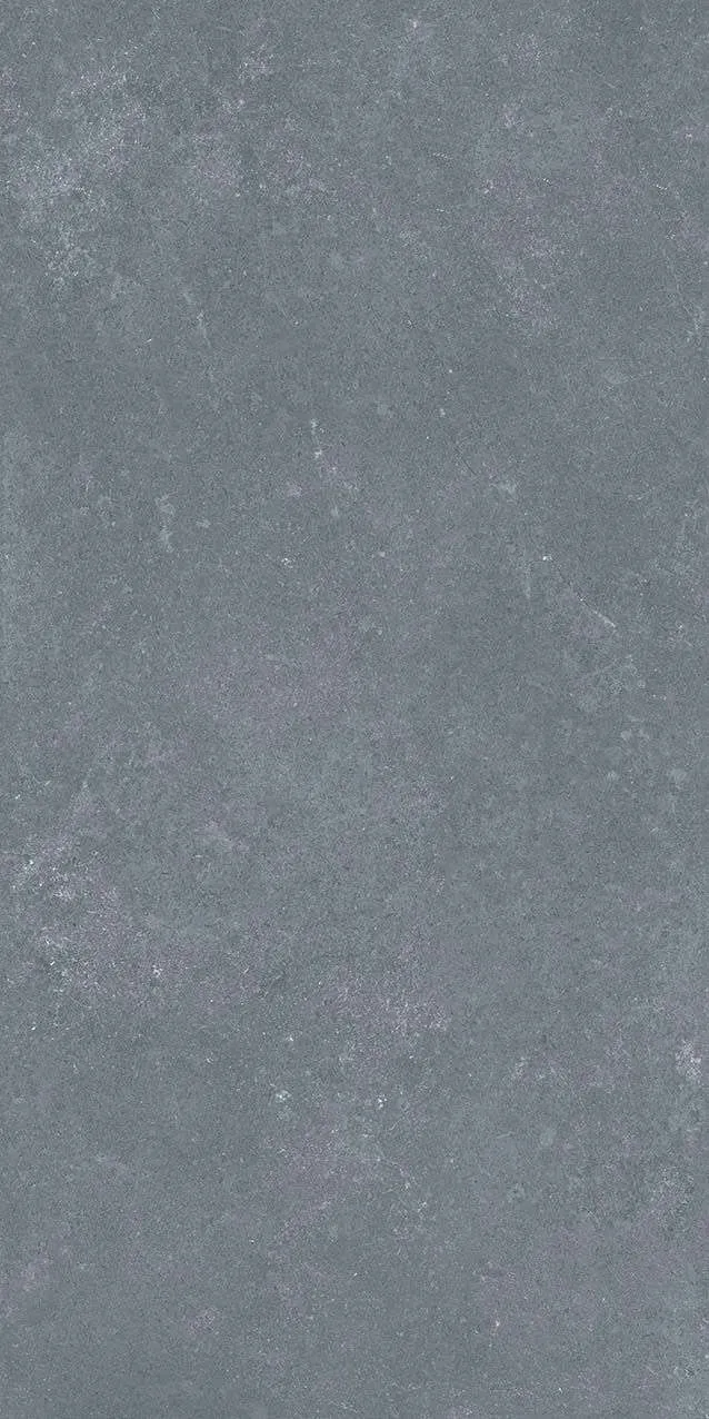 VI1-GM81603