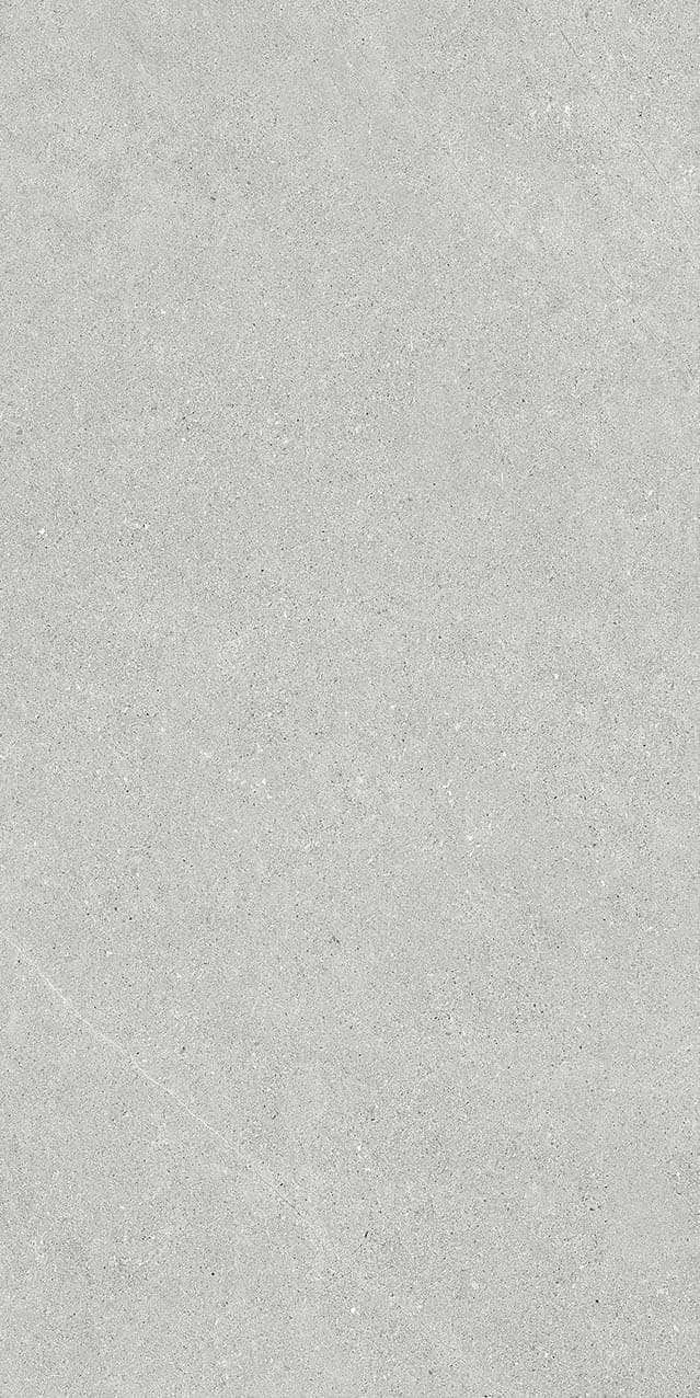 VI2-GM81602