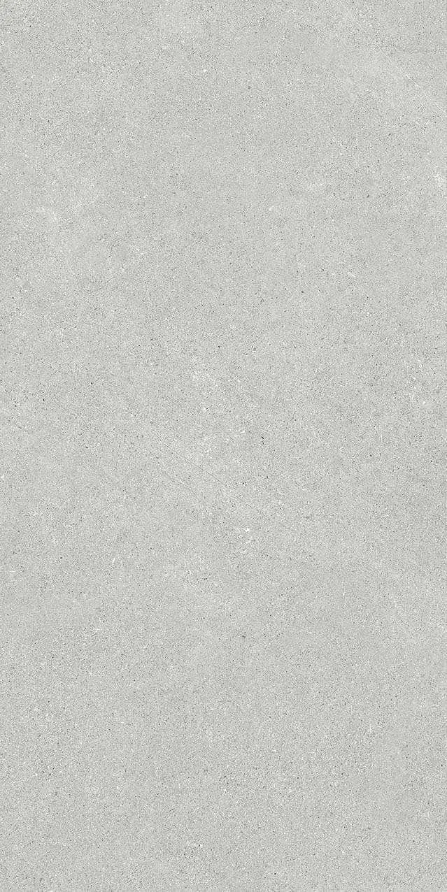 VI2-GM81602