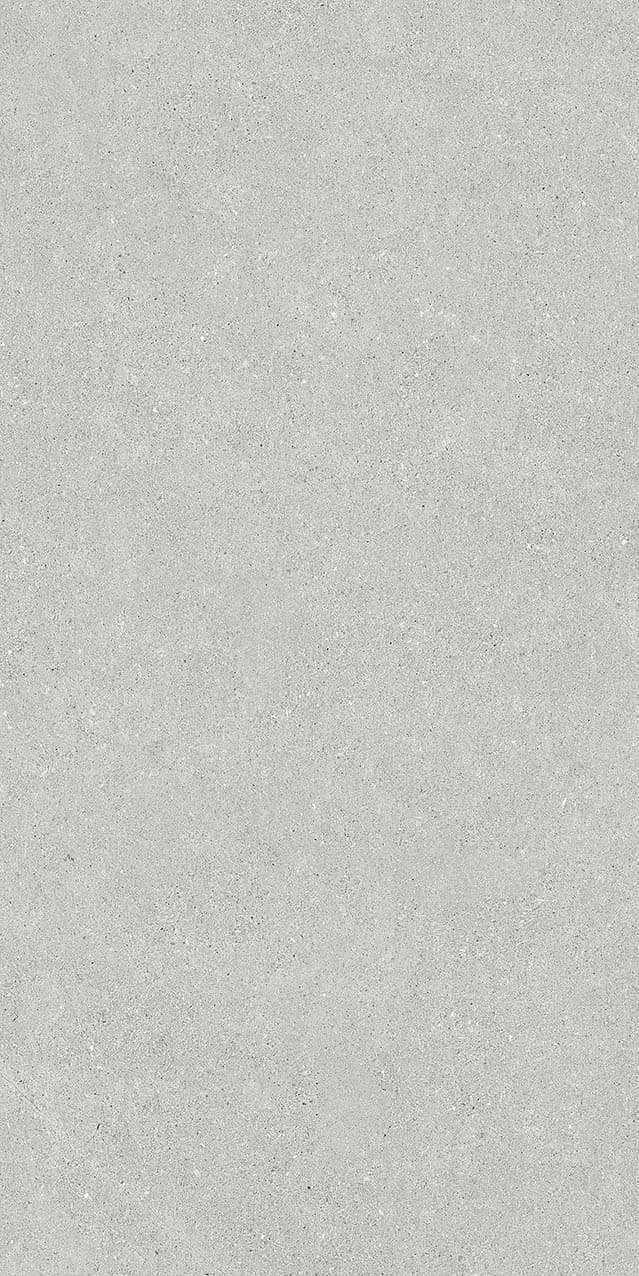 VI2-GM81602