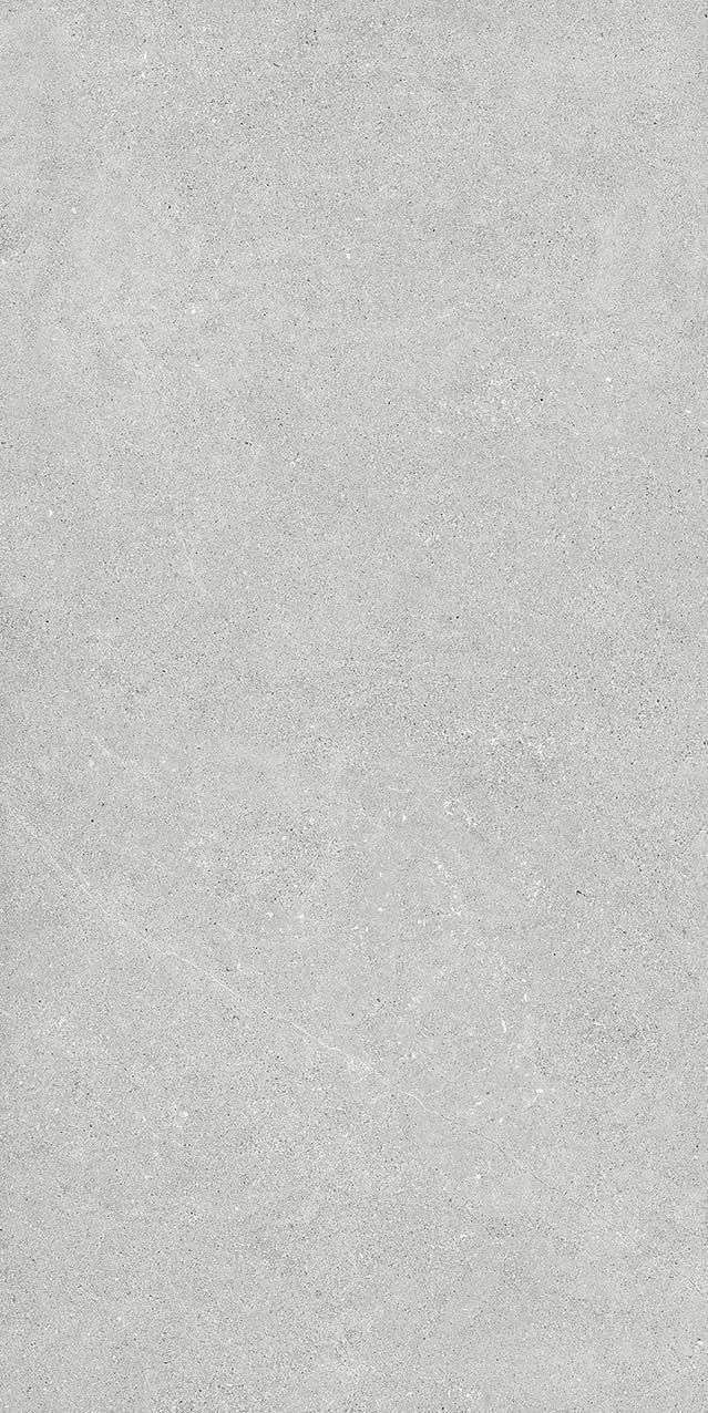 VI2-GM81602