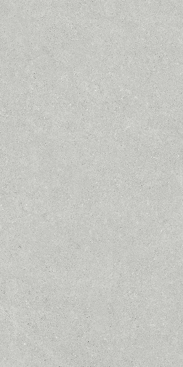 VI2-GM81602